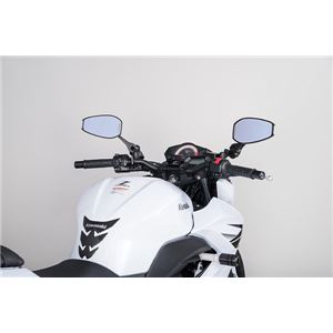 タナックス（TANAX） AOS4B シャークミラー4B（青鏡）