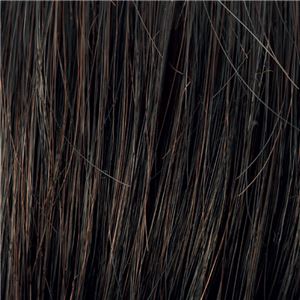 メンズヘアピース ダンディヘア 【明るい黒】