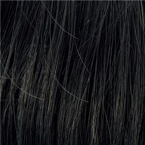 メンズヘアピース ダンディヘア 【自然な黒】