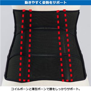 お腹シェイプサポーター 【ブラック1枚 L ： L】