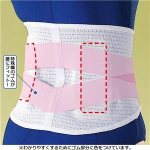 治療院のコルセット 【ホワイト L ： L】