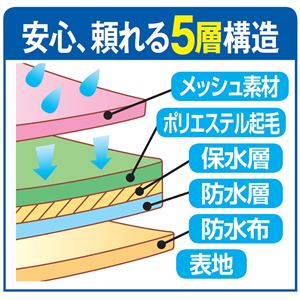 安心ショーツレギュラーセット 【8枚組 3L : 3L】