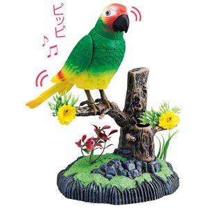 癒しのムービングバード【1： オウム】