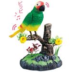 癒しのムービングバード【1： オウム】の詳細ページへ