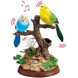 癒しのムービングバード【2： インコ】