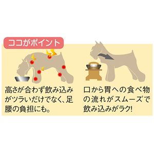 ウッディダイニング【2： M】