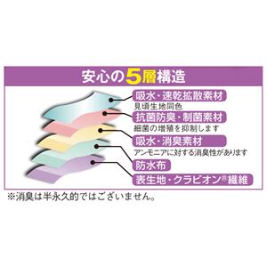 抗菌消臭お買得安心ショーツ3色組【11L： 11L】