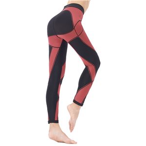 ヤーマン 加圧エクサバーン 【2: L】