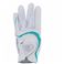 i܂Ƃ߁juaXgSt fB[XϋvO[ui܁j Ўp^p WGi^΁j 21cm SOFTGRIP LD15 y~3Zbgz