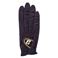 i܂Ƃ߁juaXgSt JɋO[ui܁j Ep ubNij 26cm TOURGLOVE A.L. 2014 y~2Zbgz