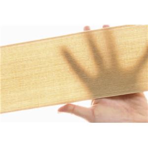 楽ちん満足 超薄型骨盤ベルト ベージュ系 L