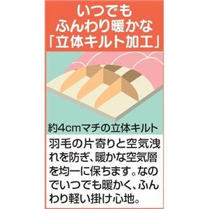 羽毛布団/掛け布団 【ダブルサイズ ピンク】 カナダ産 ホワイトダックダウン85%使用 収納ケース付き 立体キルト加工 日本製