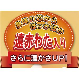 遠赤わた入り あったか毛布/掛け布団 【ダブルサイズ ブルー】 衿付きタイプ 帯電防止加工 衿・裏地：フランネル素材