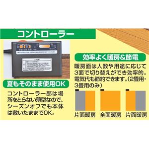 木目調フローリングホットカーペット 1畳用