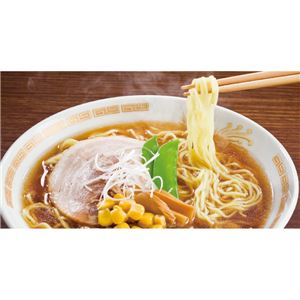 藤原製麺株式会社 北海道繁盛店対決ラーメン 12食 HT-30