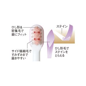 音波振動ハブラシ EW-DL22-W
