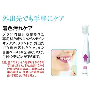 音波振動ハブラシポケットドルツ EW-DS26-P