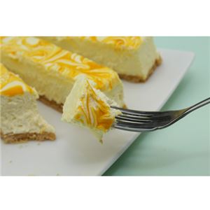 訳アリ！レアチーズケーキバー(マンゴーマーブル)1kg