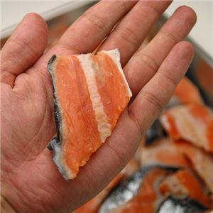 訳あり!銀鮭切り落とし 1kg