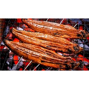 うなぎ長蒲焼 6尾