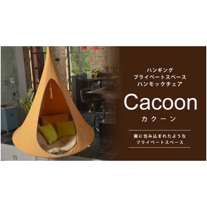 CACOON (カクーン)　マンゴーオレンジ