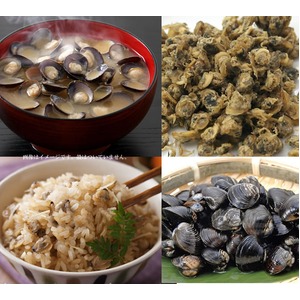 美味しい毎日 食べるしじみ60ｇ【6個セット】