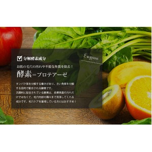 H2F powder wash (H2F パウダーウォッシュ)