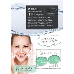 H2F powder wash (H2F パウダーウォッシュ)