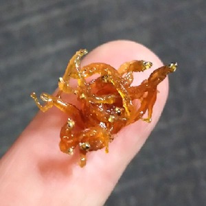  生炊き 無添加 兵庫県淡路島産 ちりめん山椒 1kg　