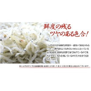 産地箱でお届け 兵庫県淡路島産 やわらか しらす 1kg【４個セット】