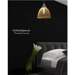 ペンダントライト(吊り下げ型照明器具) 金属製 〔リビング照明/ダイニング照明/和室照明〕
