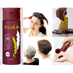 モデム Gagomeヘアカラートリートメント ブラック