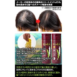 モデム Gagomeヘアカラートリートメント ブラック