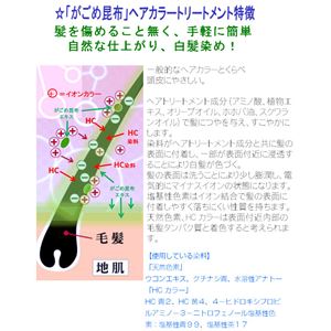 モデム Gagomeヘアカラートリートメント ブラック