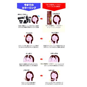 モデム Gagomeヘアカラートリートメント ブラック