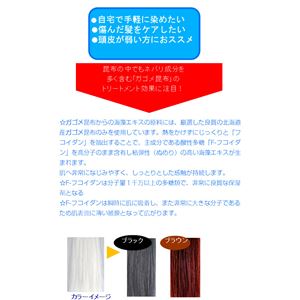 モデム Gagomeヘアカラートリートメント ブラウン