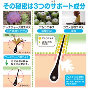 ネアーム GagomeボリュームUP ヘアエッセンス