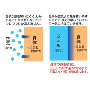 ペットひえひえ爽快ジェルマット （クールガムジェル） Sサイズ