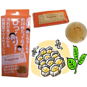 プロポリンス （ハンディパウチタイプ6p）