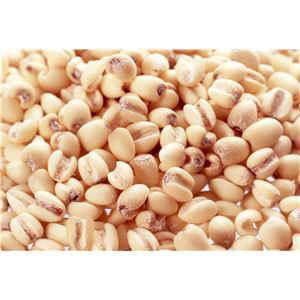 トミーリッチ 薬用ハトムロンL