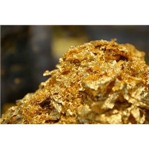 薬用育毛びわの恵み（医薬部外品）
