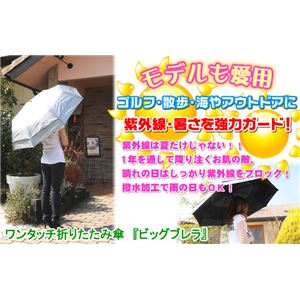 スタイリッシュ UVカットビッグパラソル