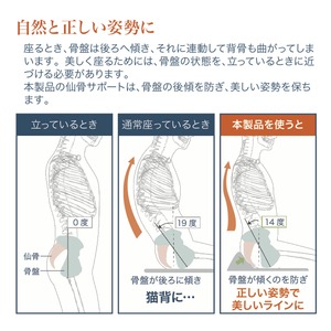 座るだけで仙骨を支え美しく健康的な体に。裏表使えるリバーシブル。仙骨サポート座布団 レッド&times;ライトグレー