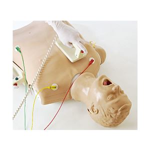 蘇生シミュレーションシステム REVER 【DCシミュレーター付き】 ICLS準拠 M-187-0