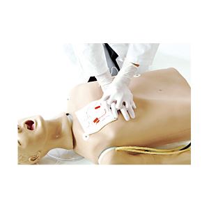 蘇生シミュレーションシステム REVER 【DCシミュレーター付き】 ICLS準拠 M-187-0