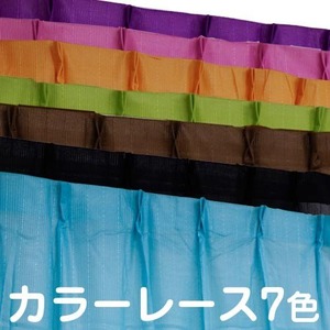 カラーレースカーテン 2枚組 100&times;176 グリーン ミラーレース 見えにくい 洗える アジャスターフック付き セルバ2