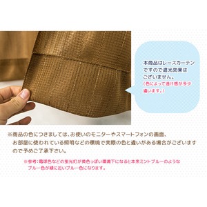 カラーレースカーテン 2枚組 100&times;176 グリーン ミラーレース 見えにくい 洗える アジャスターフック付き セルバ2