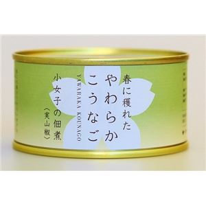 木の屋石巻水産缶詰 小女子の佃煮（実山椒） 6缶セット