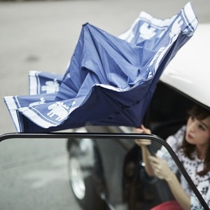 逆さに開く二重傘『Circus サーカス&times;moz モズ』/アンブレラ 【インディゴ】 晴雨兼用 自立可