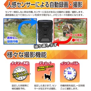 【トレイルカメラ】赤外線ライト搭載トレイルカメラ『Radiant40』（ラディアント40）